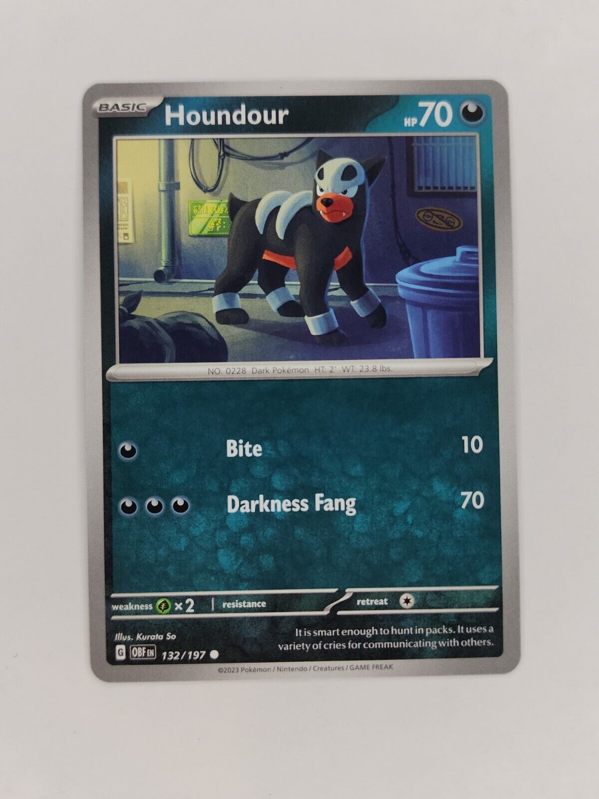 Houndour 132/197 Pokémon TGC Obsidian Flames