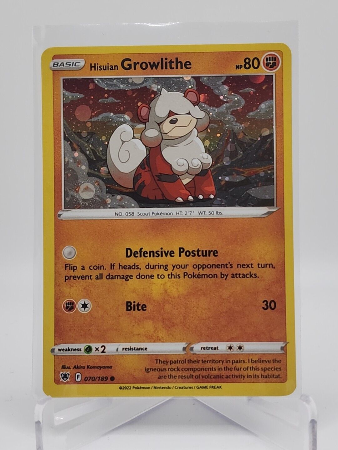 Hisuian Growlithe [Holo]  70/189 Pokémon TCG Astral Radiance