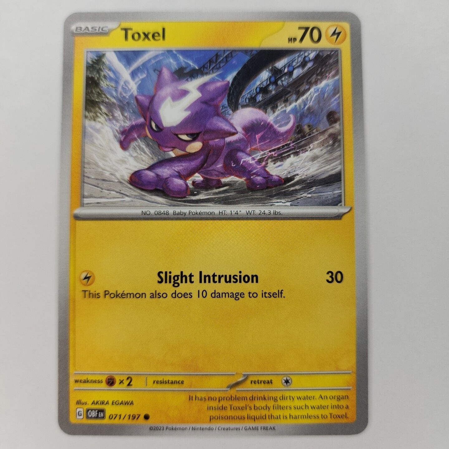 Toxel 71/197 Pokémon TGC Obsidian Flames