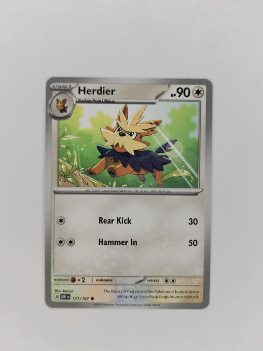 Herdier 171/197 Pokémon TGC Obsidian Flames