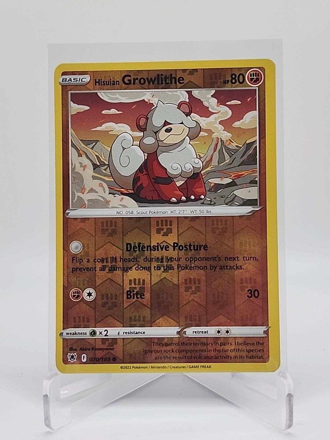 Hisuian Growlithe [Reverse Holo]  70/189 Pokémon TCG Astral Radiance