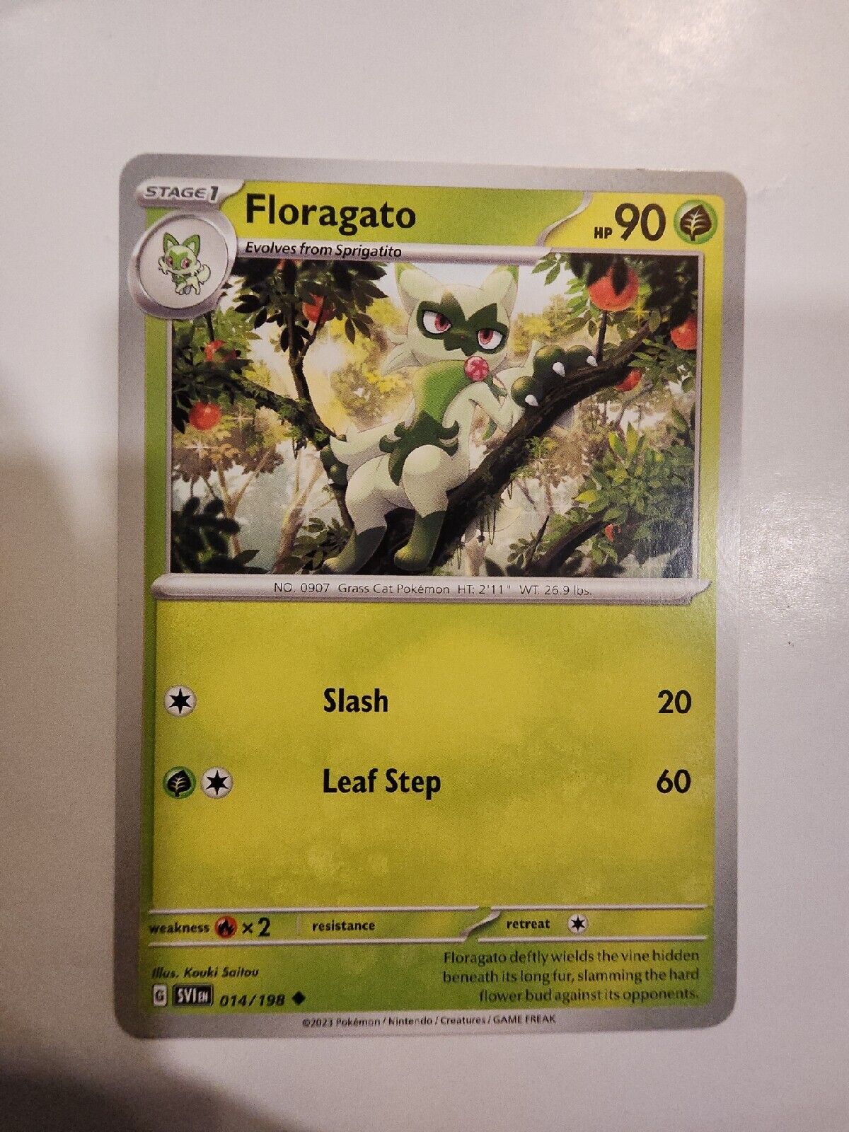 Floragato 14/198 Pokémon TGC Scarlet & Violet