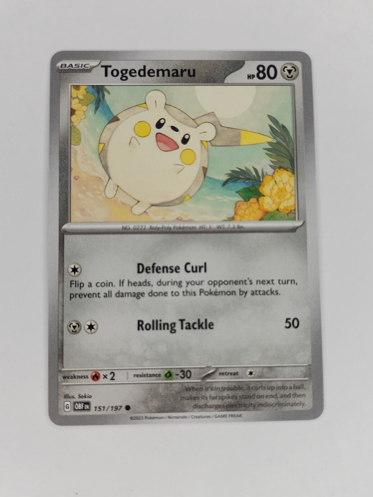 Togedemaru 151/197 Pokémon TGC Obsidian Flames