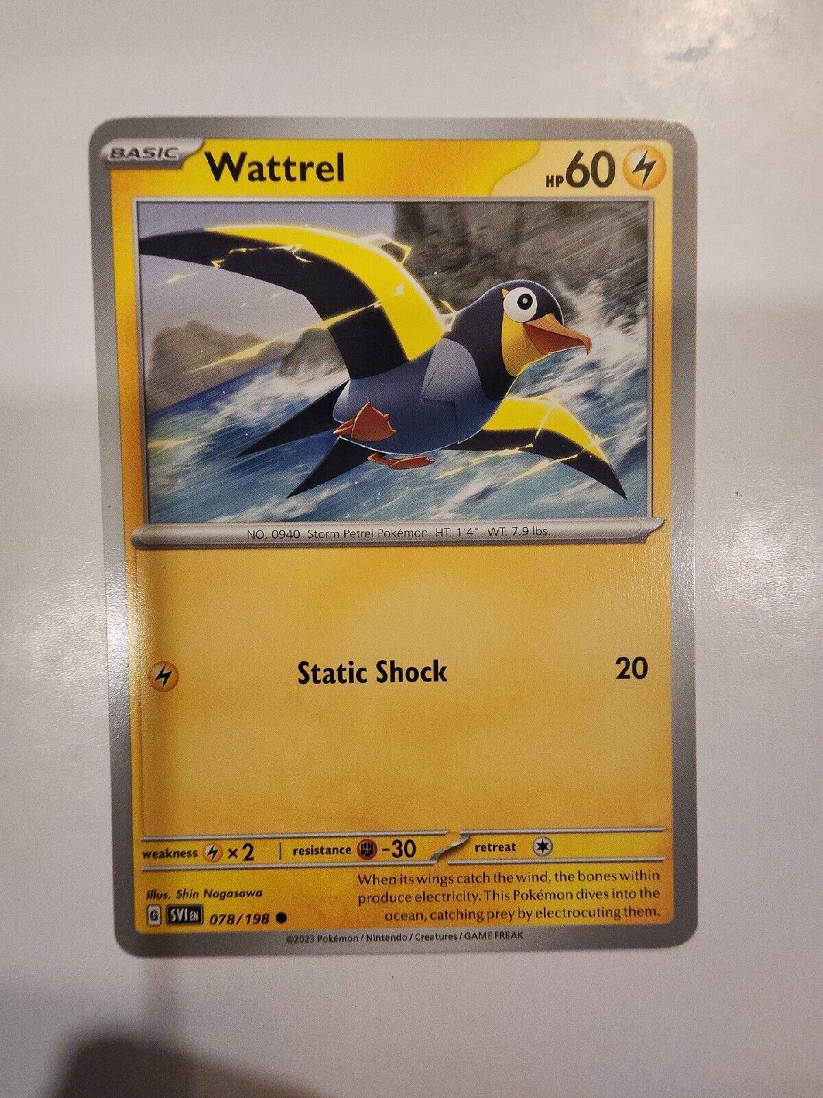 Wattrel 78/198 Pokémon TGC Scarlet & Violet