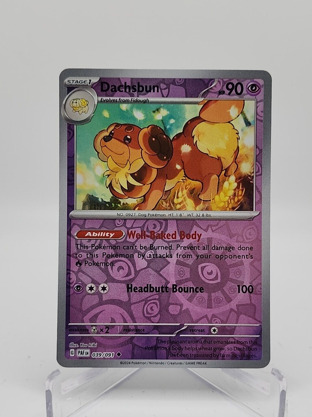 Dachsbun [Reverse Holo]  39/91 Pokémon TCG Paldean Fates