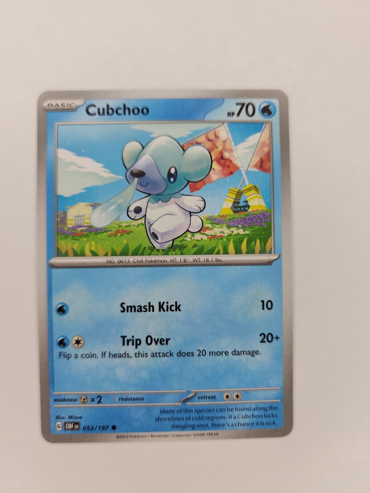 Cubchoo 53/197 Pokémon TGC Obsidian Flames