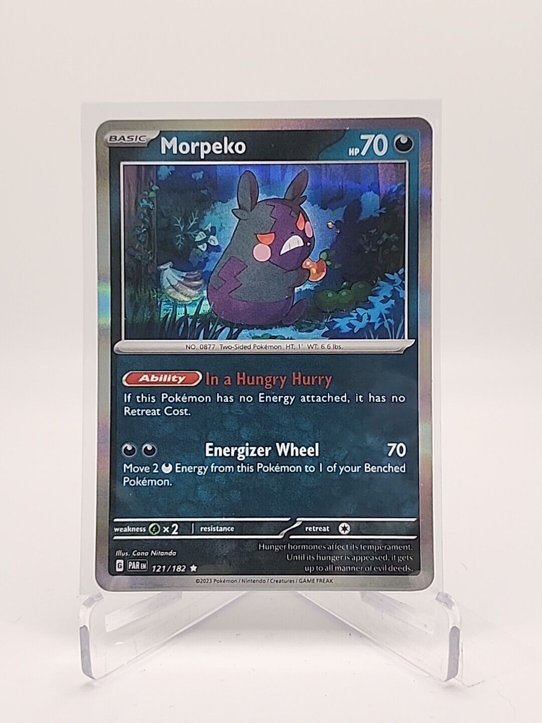 Morpeko [Holo]  121/182 Pokémon TCG Paradox Rift