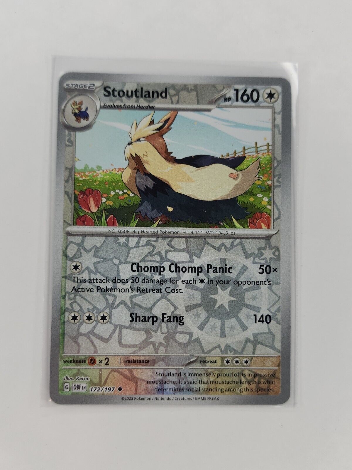 Stoutland [Reverse Holo] 172/197 Pokémon TGC Obsidian Flames