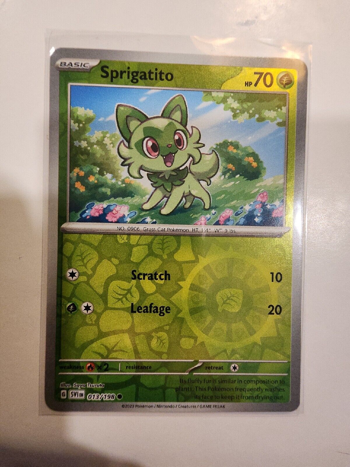 Sprigatito [Reverse Holo] 13/198 Pokémon TGC Scarlet & Violet