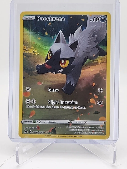 Poochyena  GG33/159 Pokémon TCG Crown Zenith