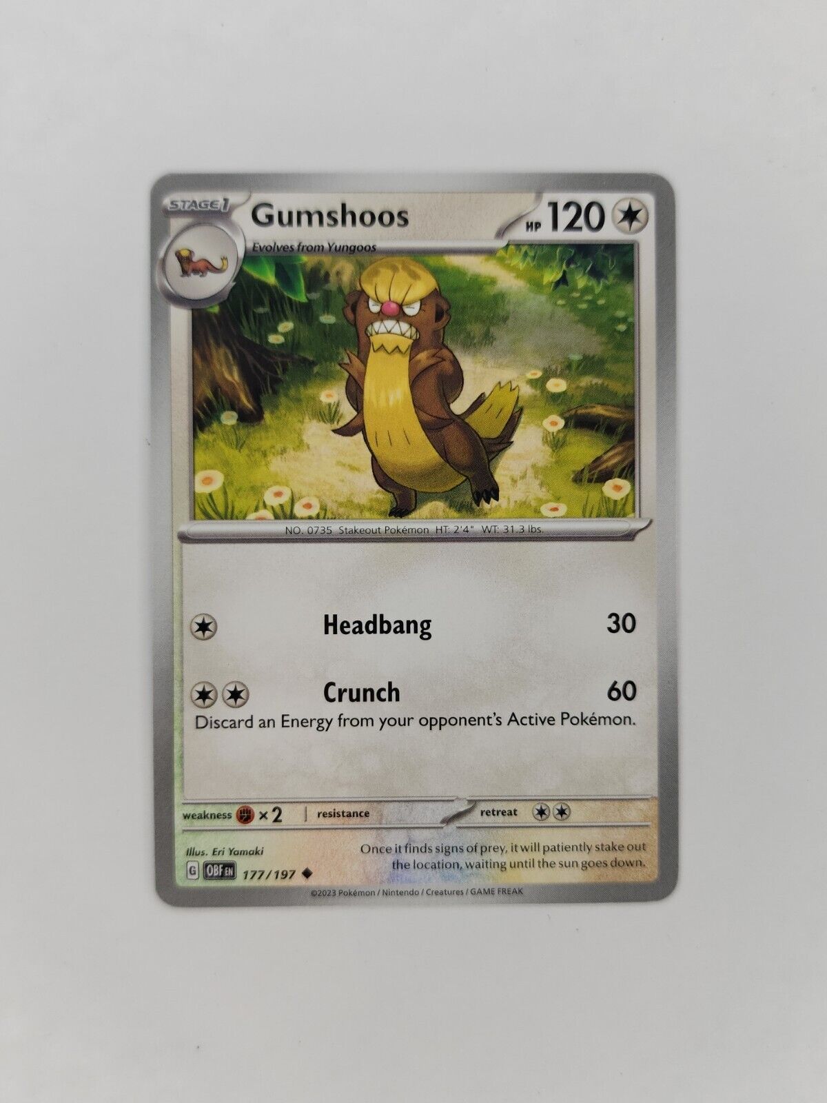 Gumshoos 177/197 Pokémon TGC Obsidian Flames