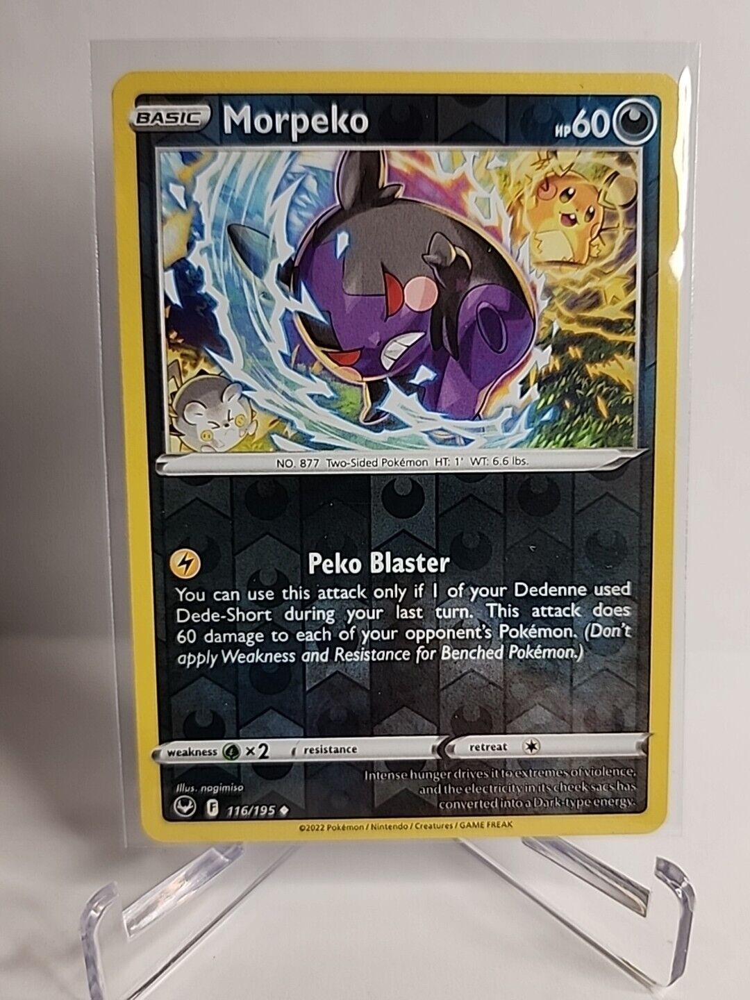 Morpeko [Reverse Holo] 116/195 Pokémon Cards Silver Tempest