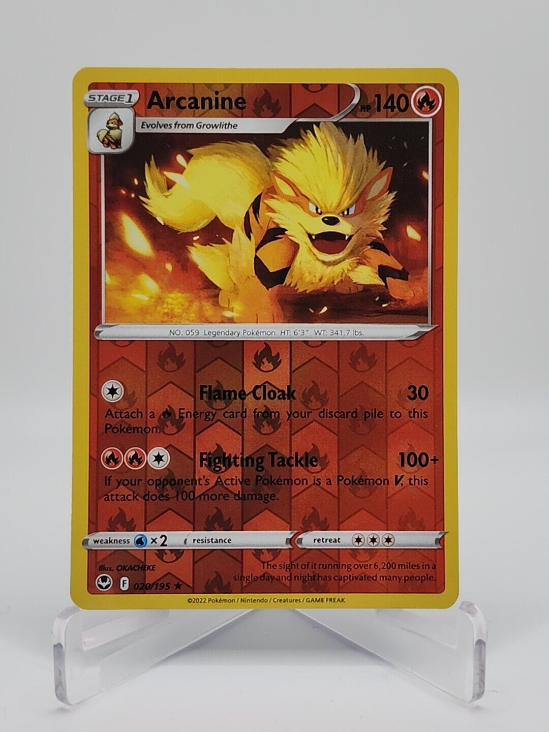 Arcanine [Reverse Holo]  20/195 Pokémon TCG Silver Tempest