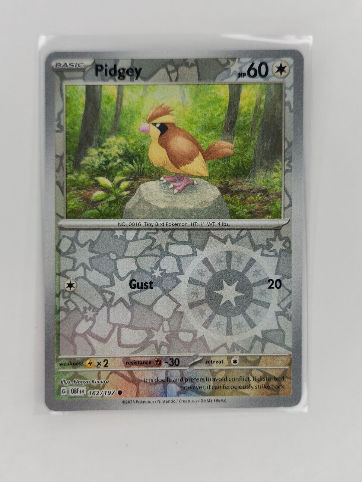 Pidgey [Reverse Holo] 162/197 Pokémon TGC Obsidian Flames