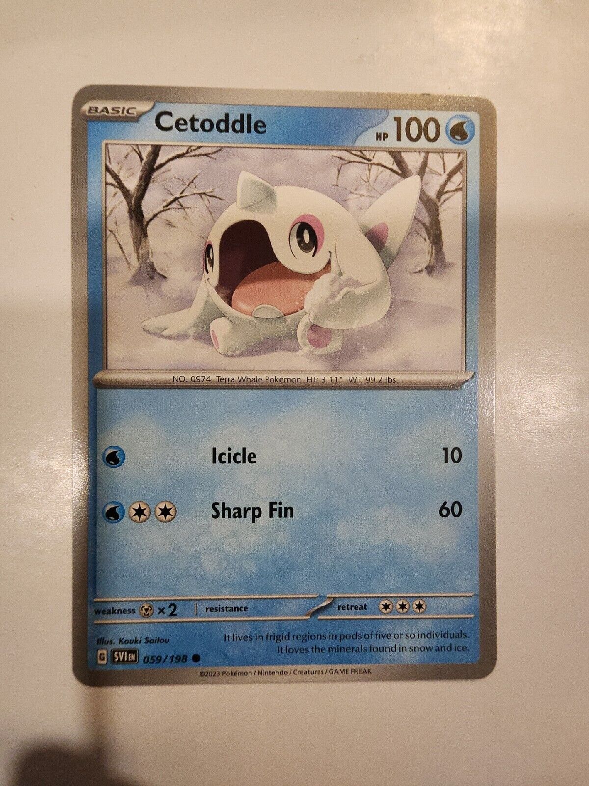 Cetoddle 59/198 Pokémon TGC Scarlet & Violet