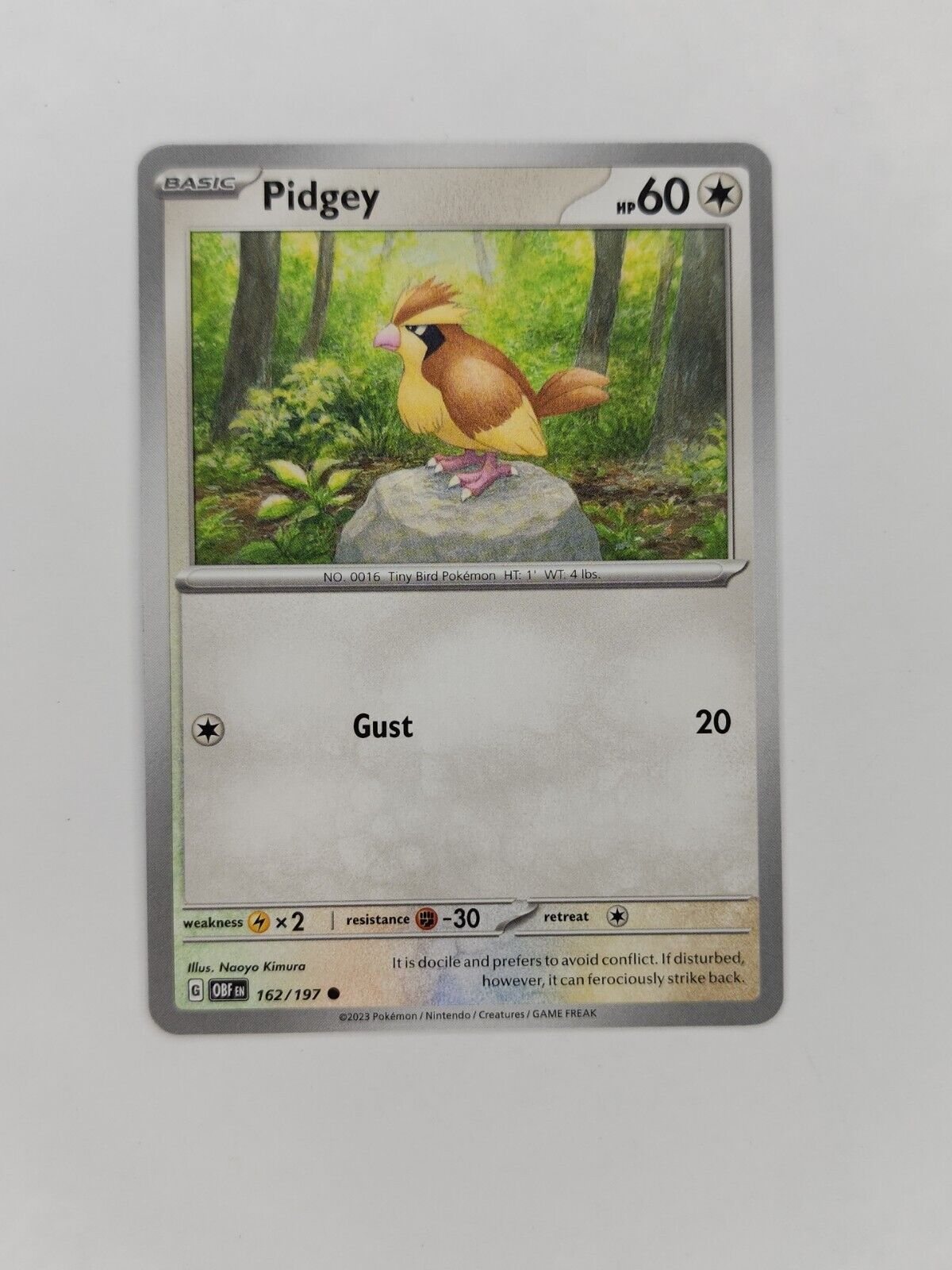 Pidgey 162/197 Pokémon TGC Obsidian Flames