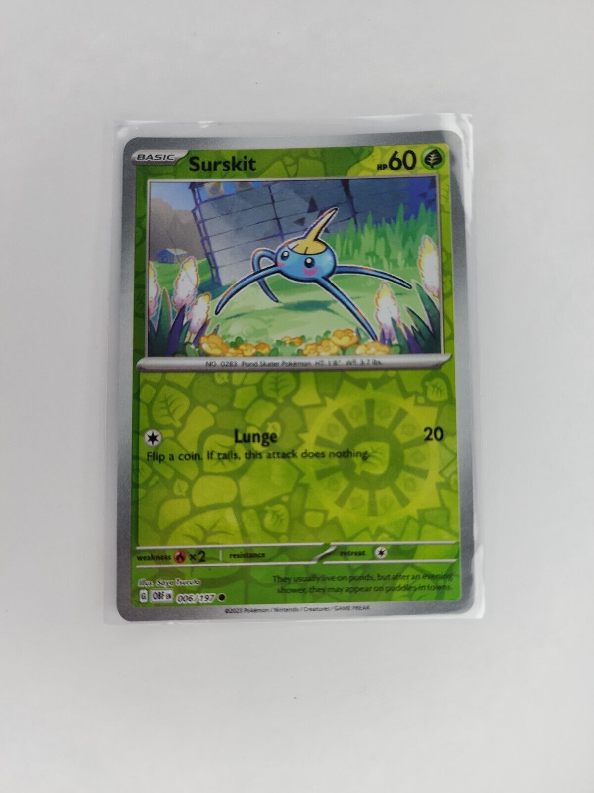 Surskit [Reverse Holo] 6/197 Pokémon TGC Obsidian Flames