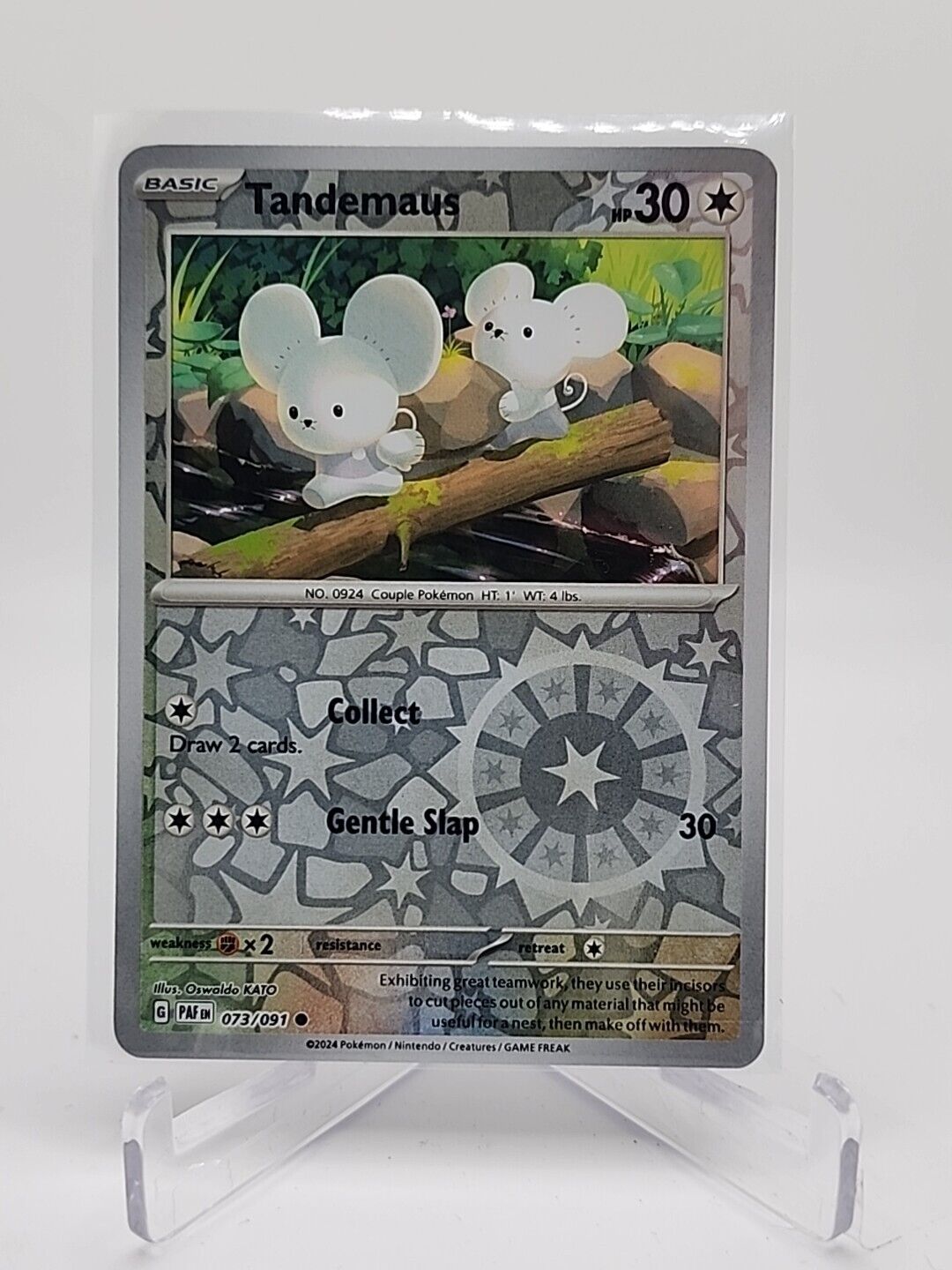 Tandemaus [Reverse Holo]  73/91 Pokémon TCG Paldean Fates