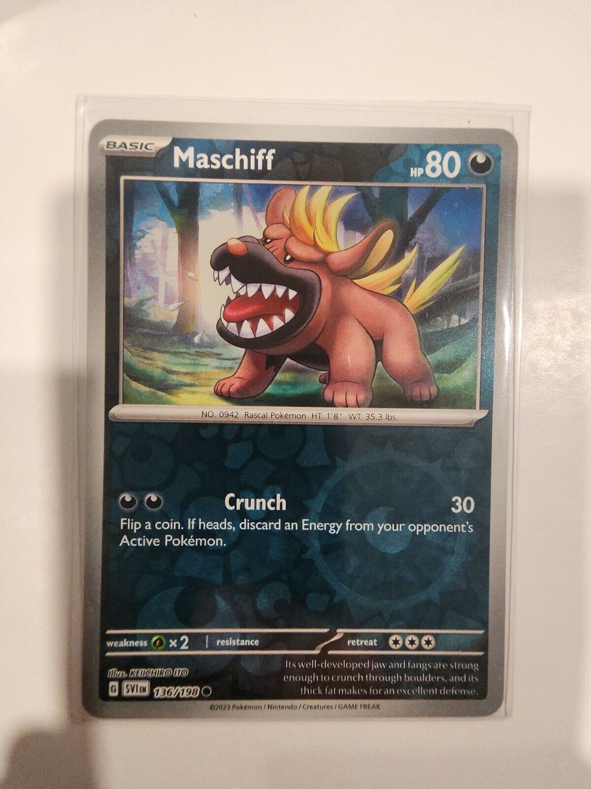 Maschiff [Reverse Holo] 136/198 Pokémon TGC Scarlet & Violet