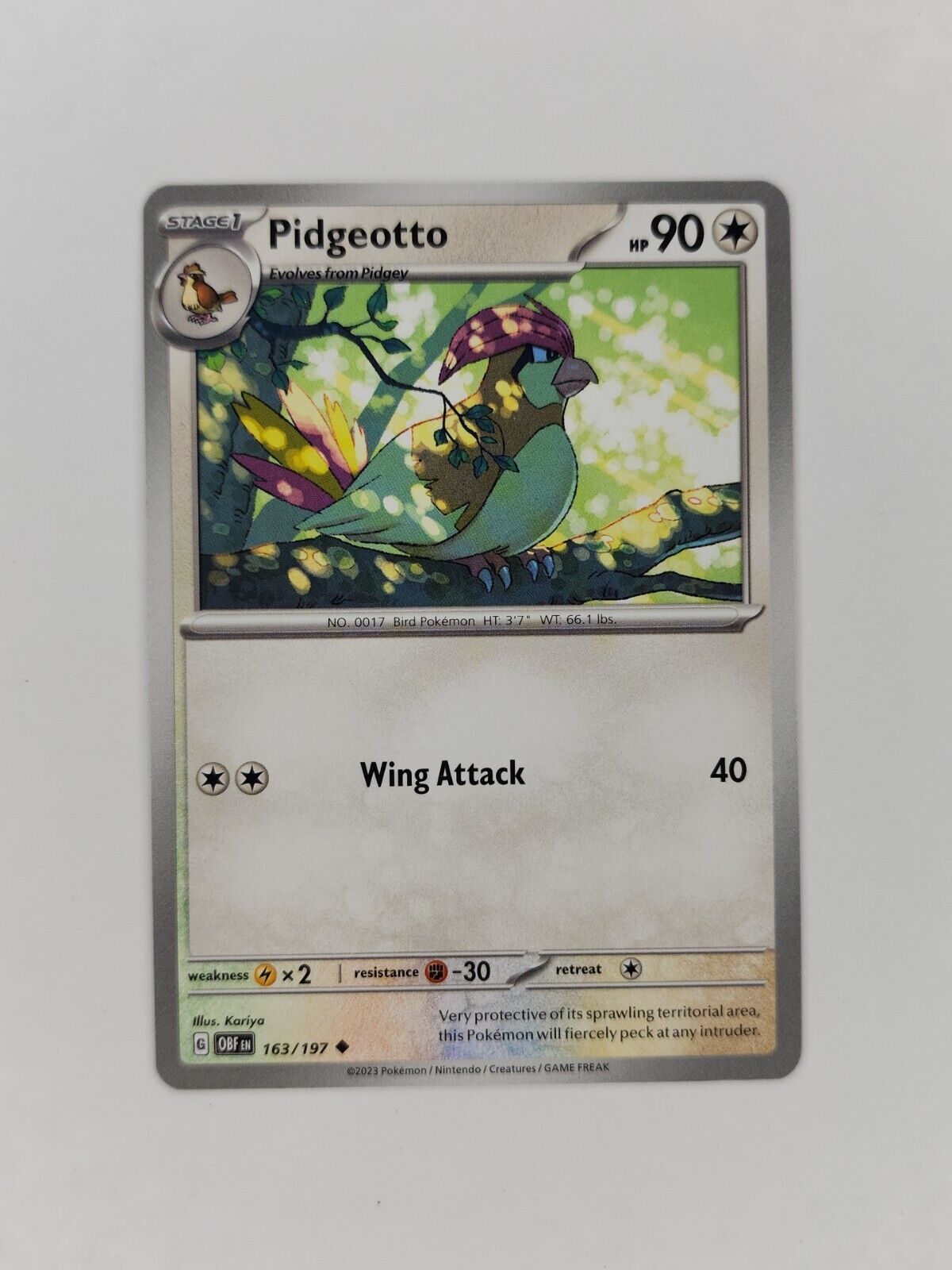 Pidgeotto 163/197 Pokémon TGC Obsidian Flames