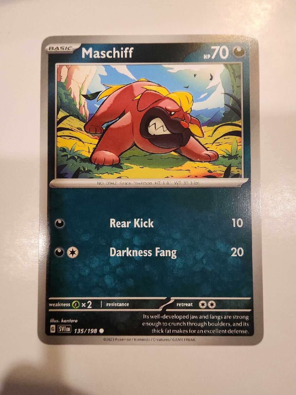 Maschiff 135/198 Pokémon TGC Scarlet & Violet