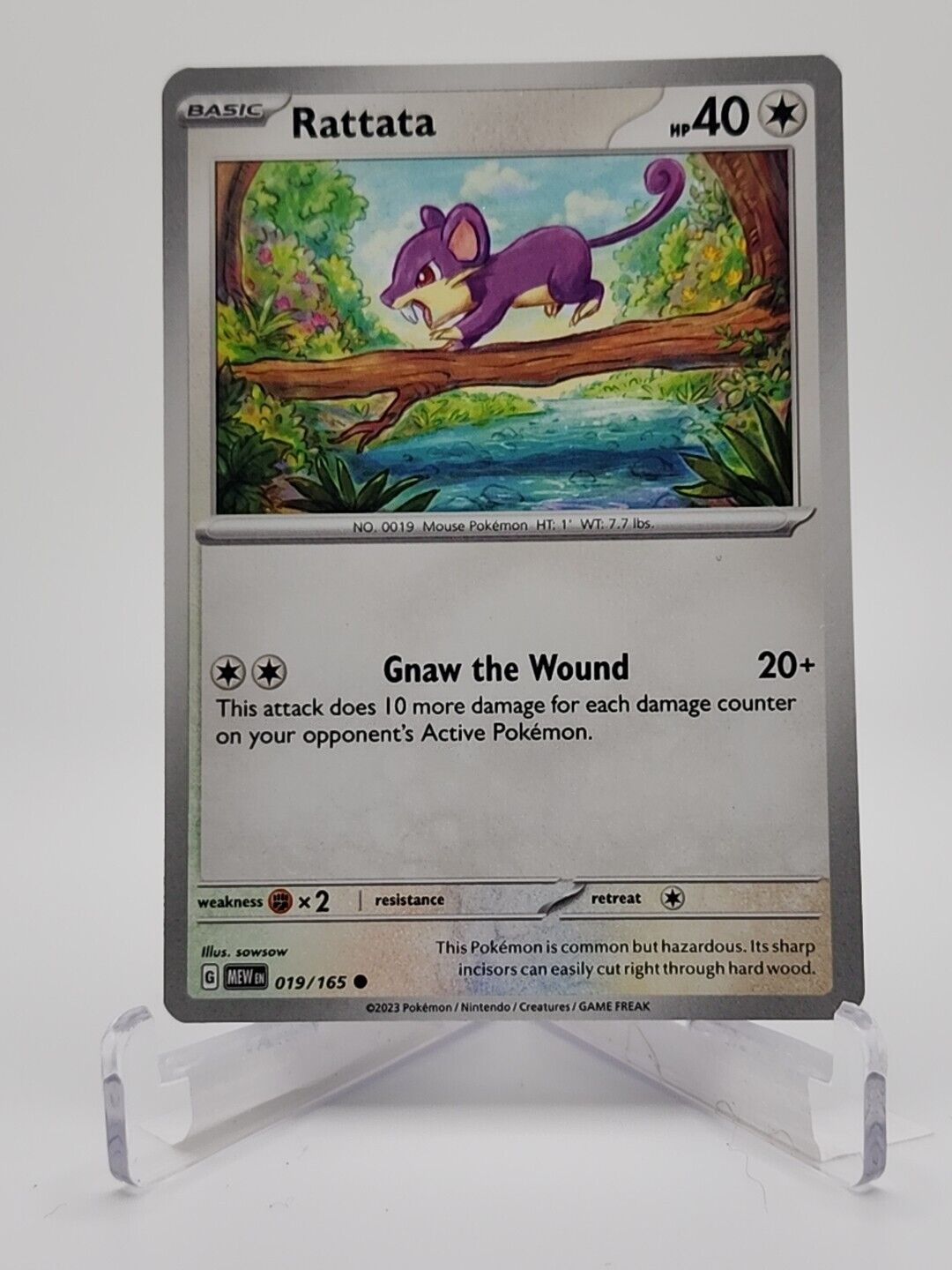 19/165 Rattata  Pokémon TGC Scarlet & Violet - 151