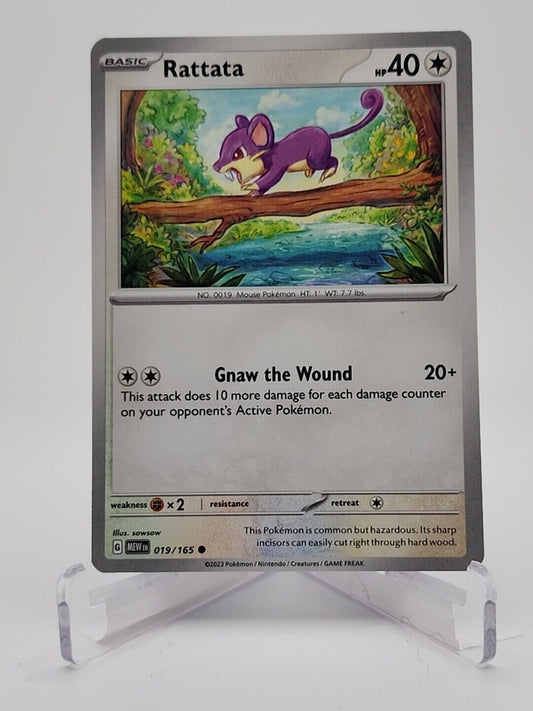 19/165 Rattata  Pokémon TGC Scarlet & Violet - 151