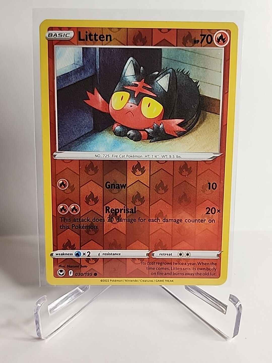 Litten [Reverse Holo] 30/195 Pokémon Cards Silver Tempest