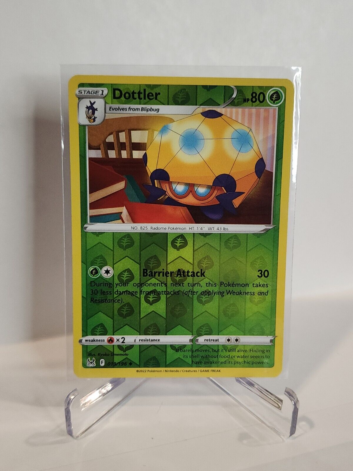 19/196 Dottler [Reverse Holo]  Pokémon TGC Lost Origin