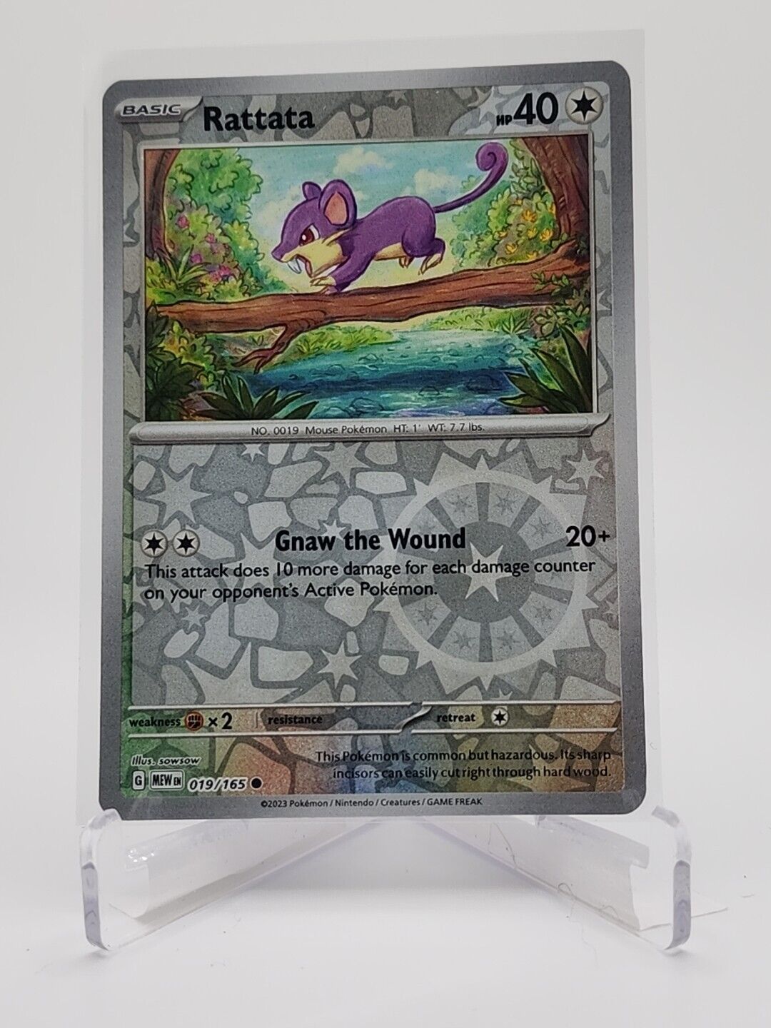 19/165 Rattata [Reverse Holo]  Pokémon TGC Scarlet & Violet - 151