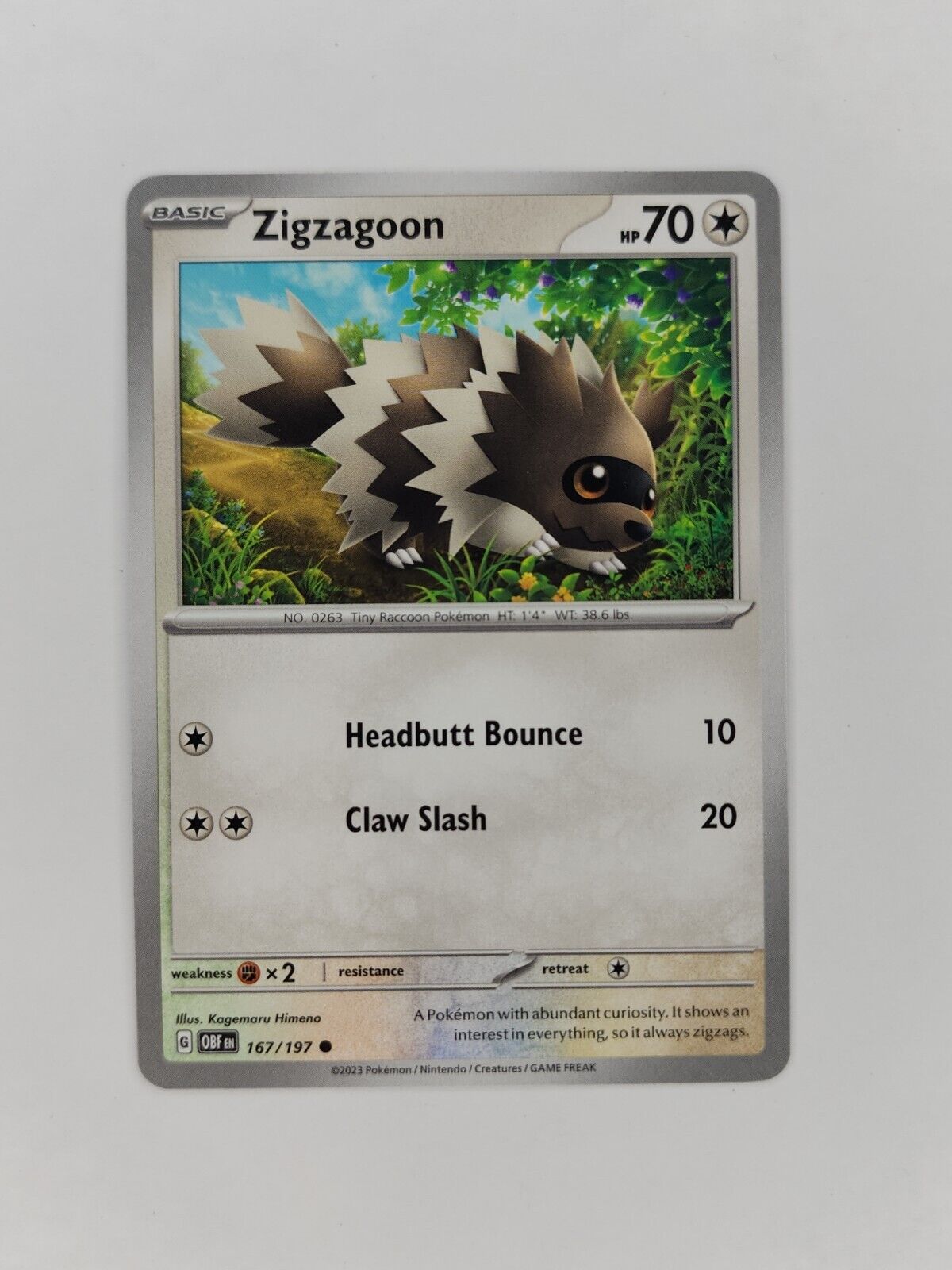 Zigzagoon 167/197 Pokémon TGC Obsidian Flames