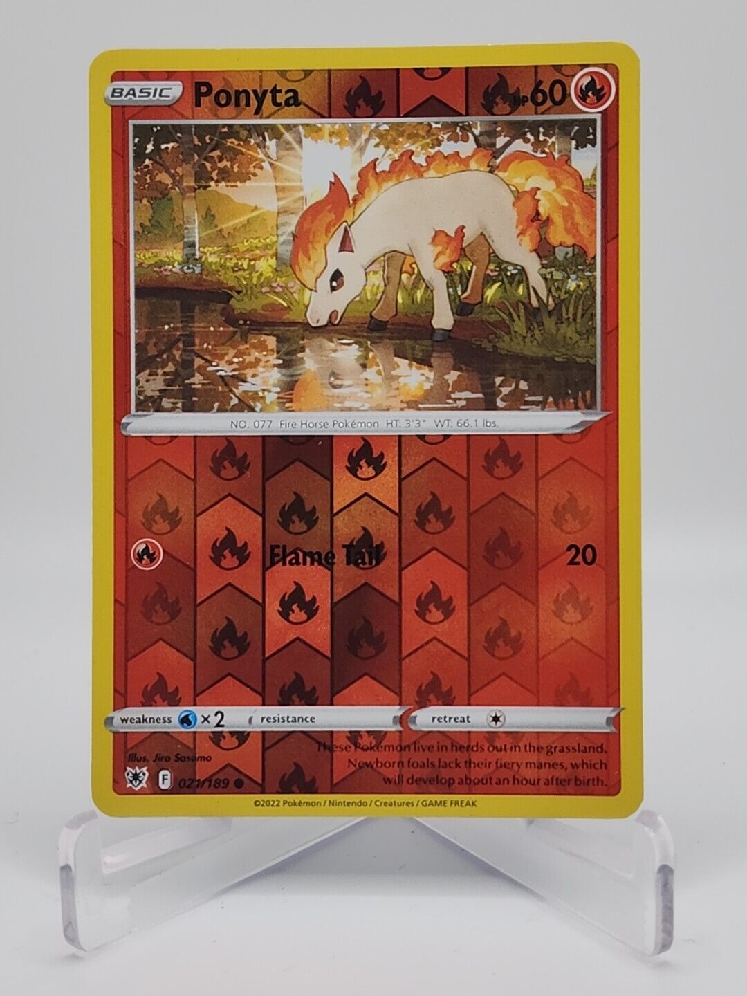 Ponyta [Reverse Holo]  21/189 Pokémon TCG Astral Radiance