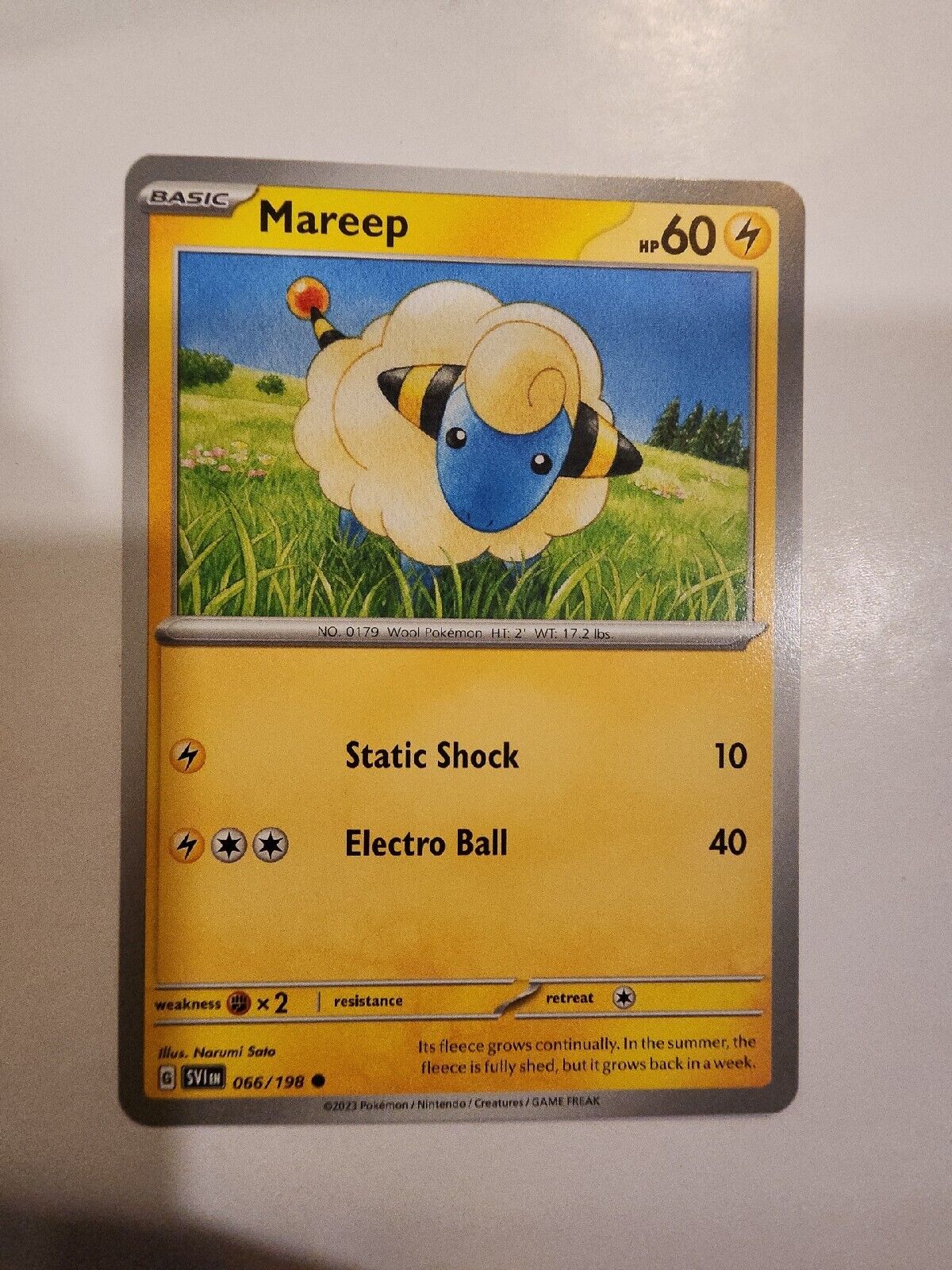 Mareep 66/198 Pokémon TGC Scarlet & Violet