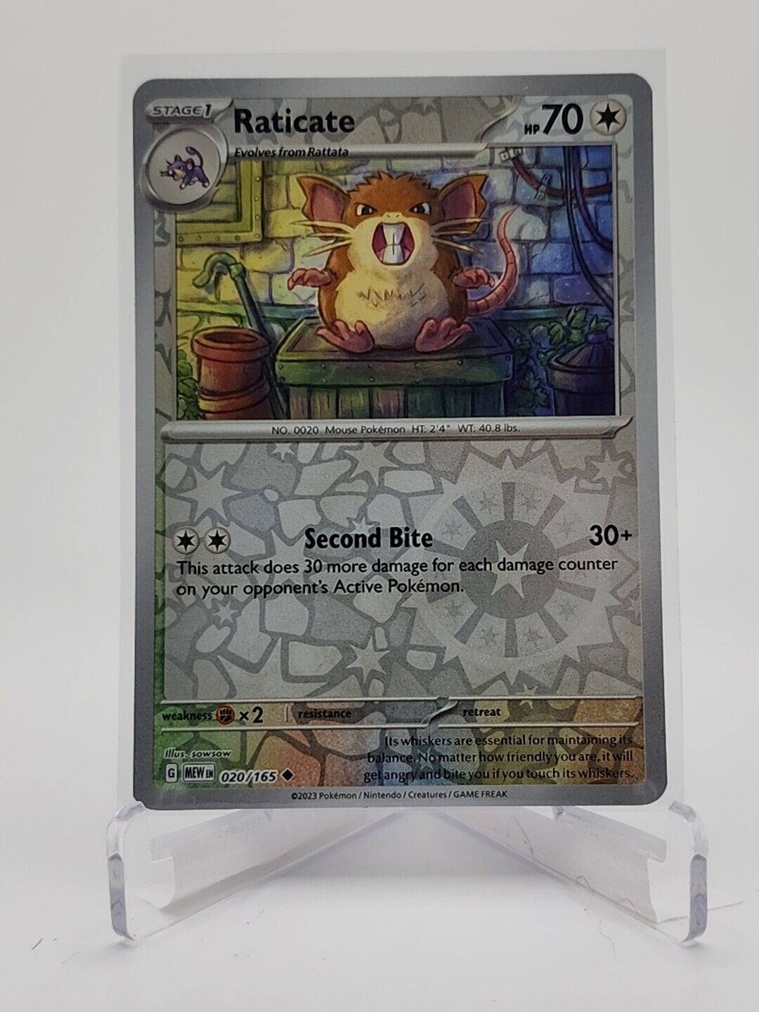 20/165 Raticate [Reverse Holo]  Pokémon TGC Scarlet & Violet - 151