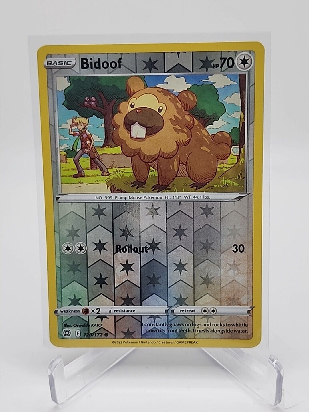 Bidoof [Reverse Holo]  120/172 Pokémon TCG Brilliant Stars