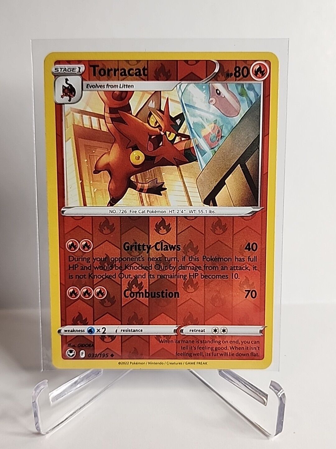 Torracat [Reverse Holo] 31/195 Pokémon Cards Silver Tempest