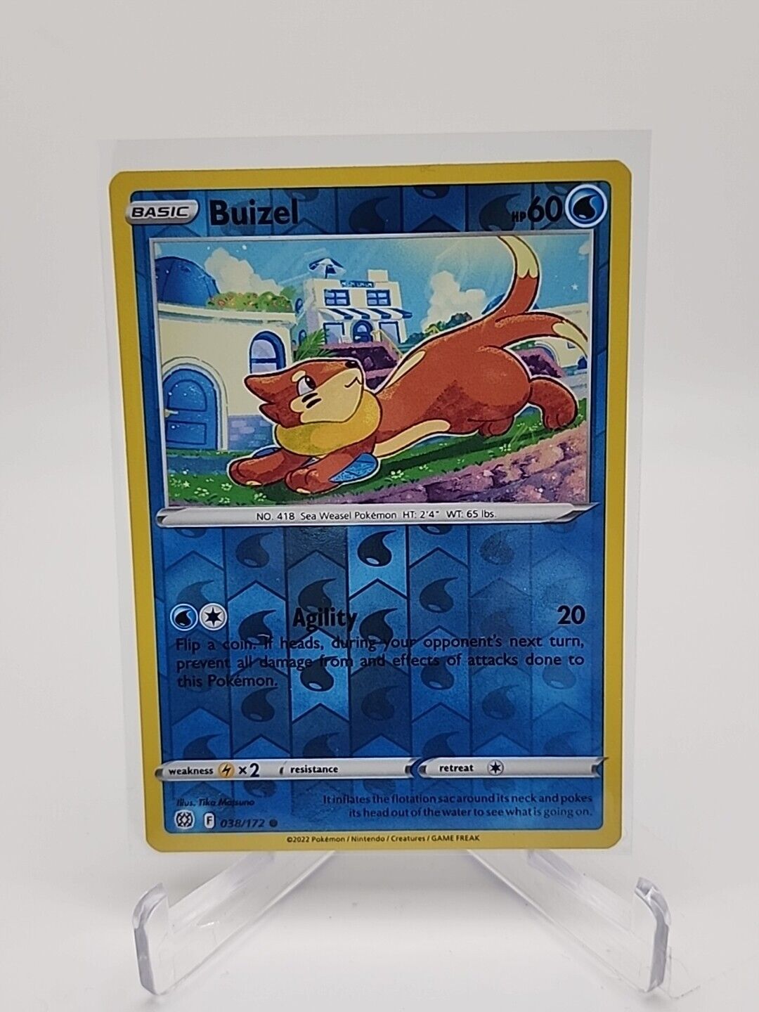 Buizel [Reverse Holo]  38/172 Pokémon TCG Brilliant Stars