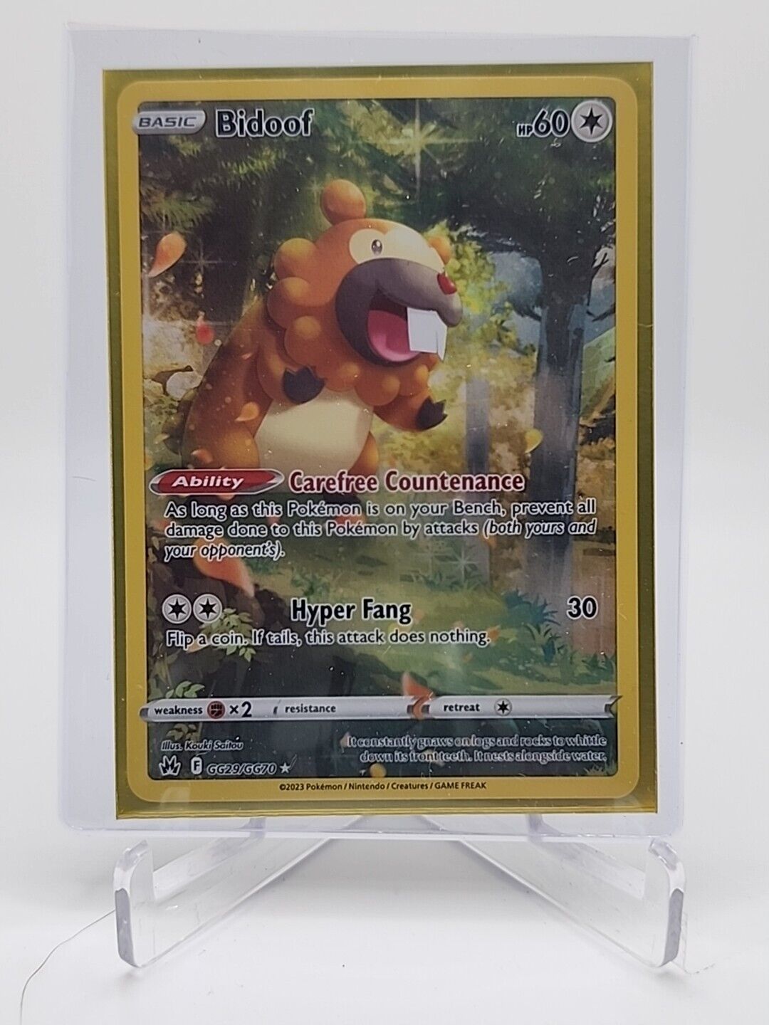 Bidoof  GG29/159 Pokémon TCG Crown Zenith