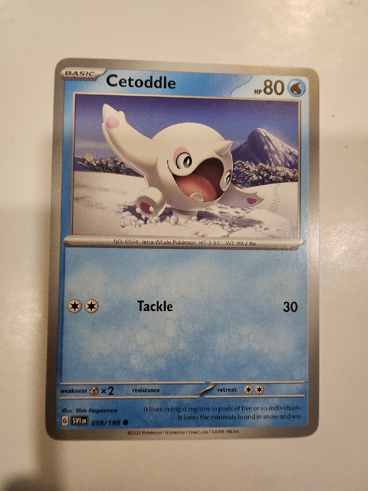 Cetoddle 58/198 Pokémon TGC Scarlet & Violet