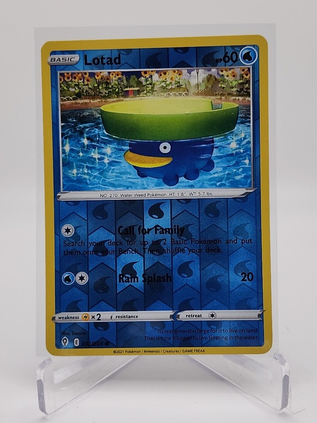 Lotad [Reverse Holo]  32/203 Pokémon TCG Evolving Skies