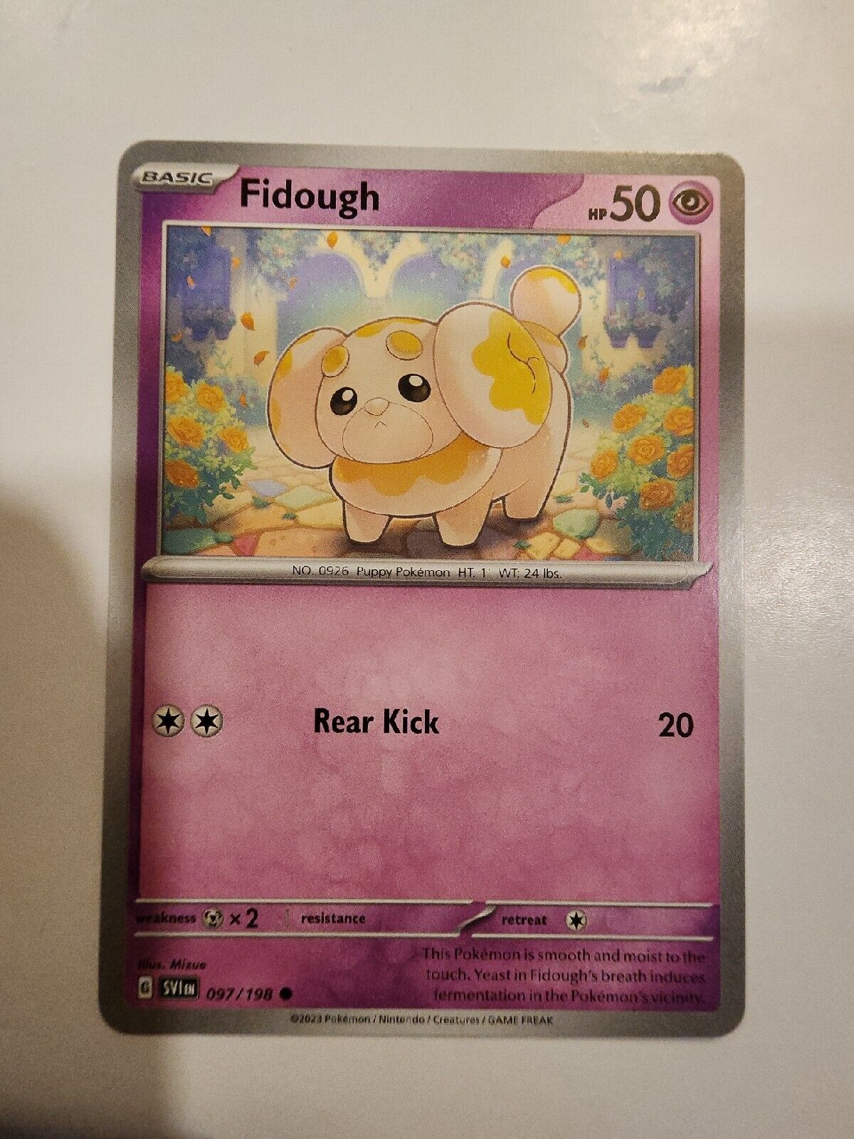 Fidough 97/198 Pokémon TGC Scarlet & Violet