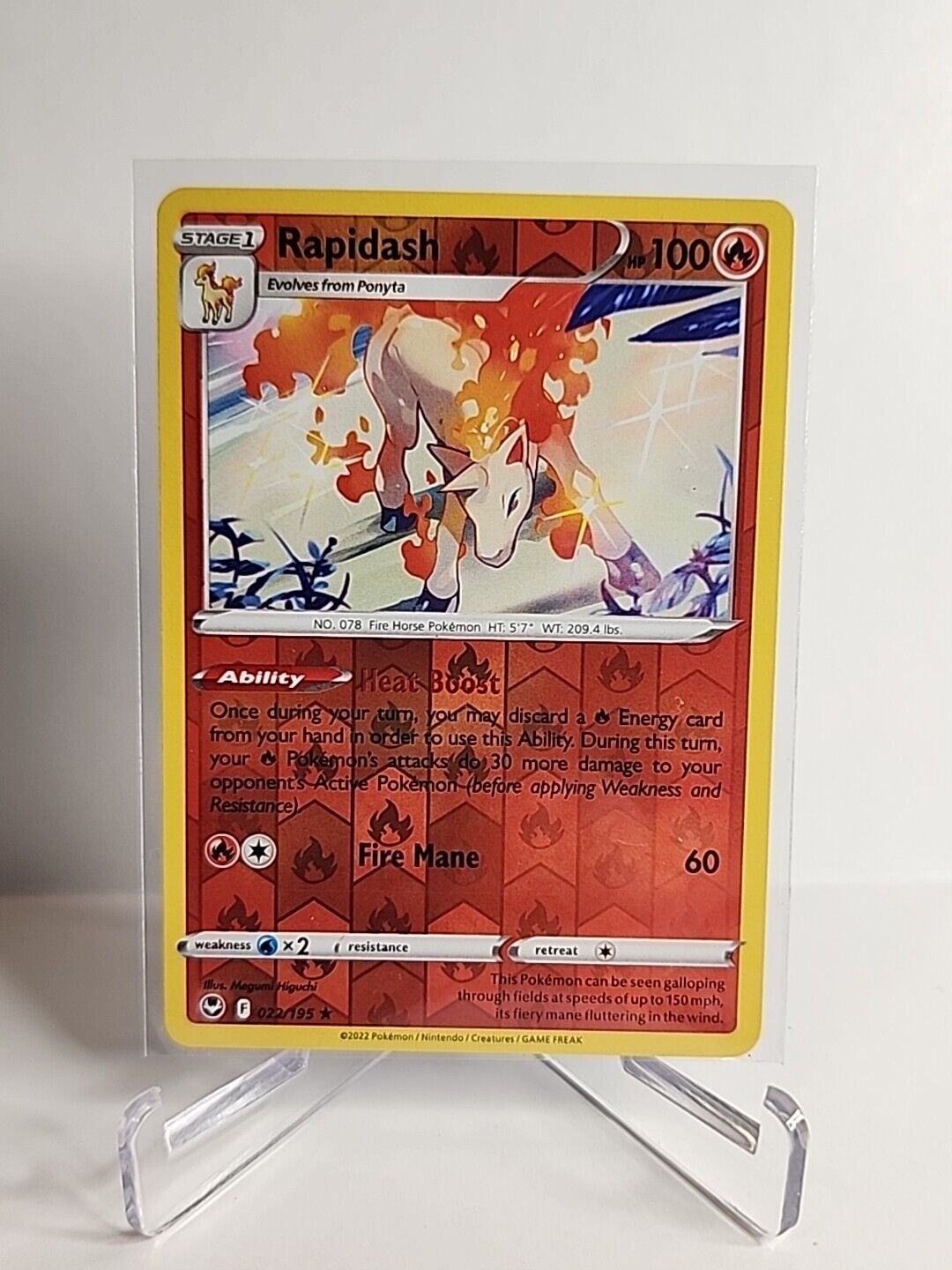 Rapidash [Holo] 22/195 Pokémon Cards Silver Tempest