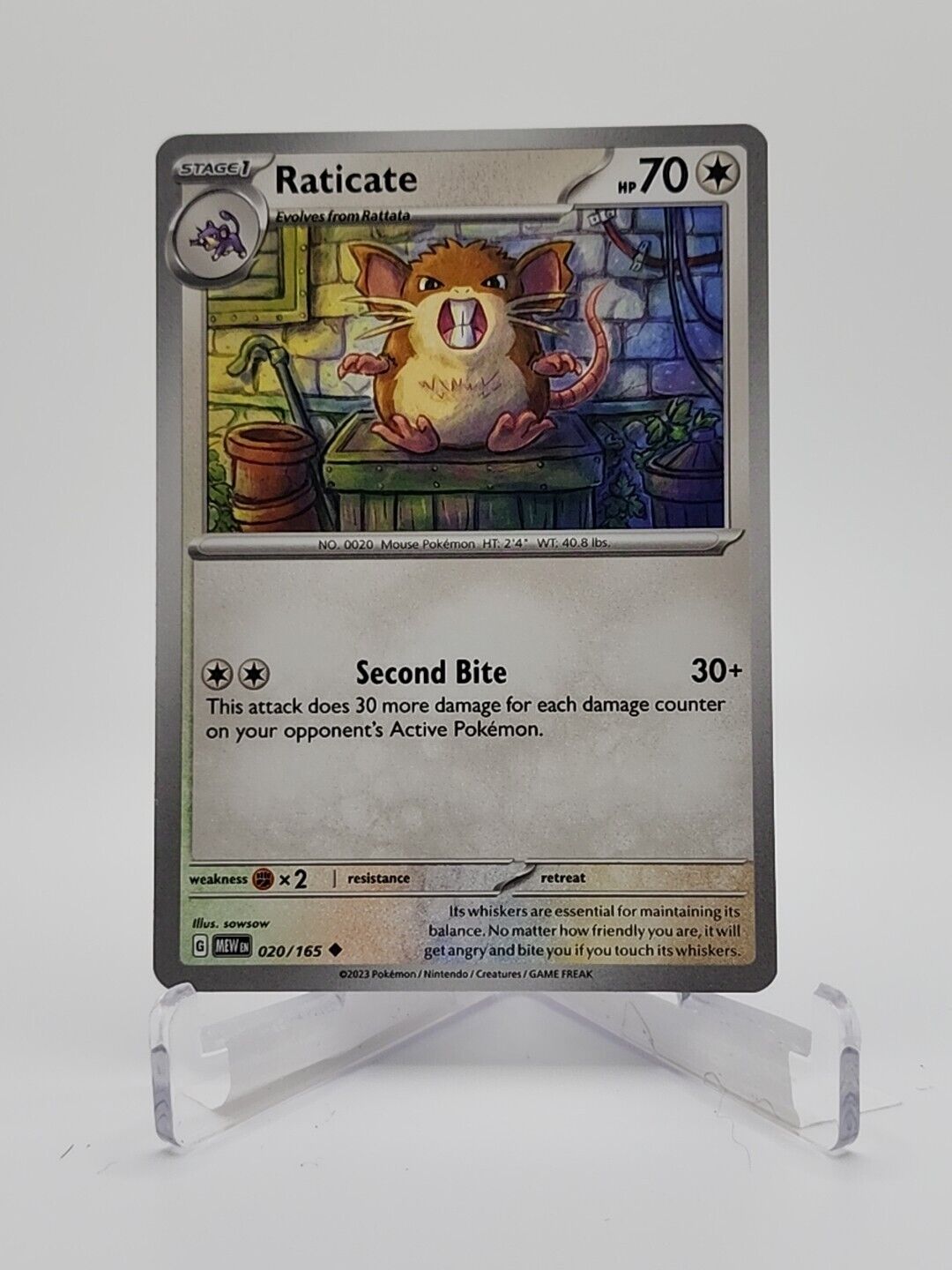 20/165 Raticate  Pokémon TGC Scarlet & Violet - 151